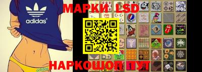 прущие грибы Моздок